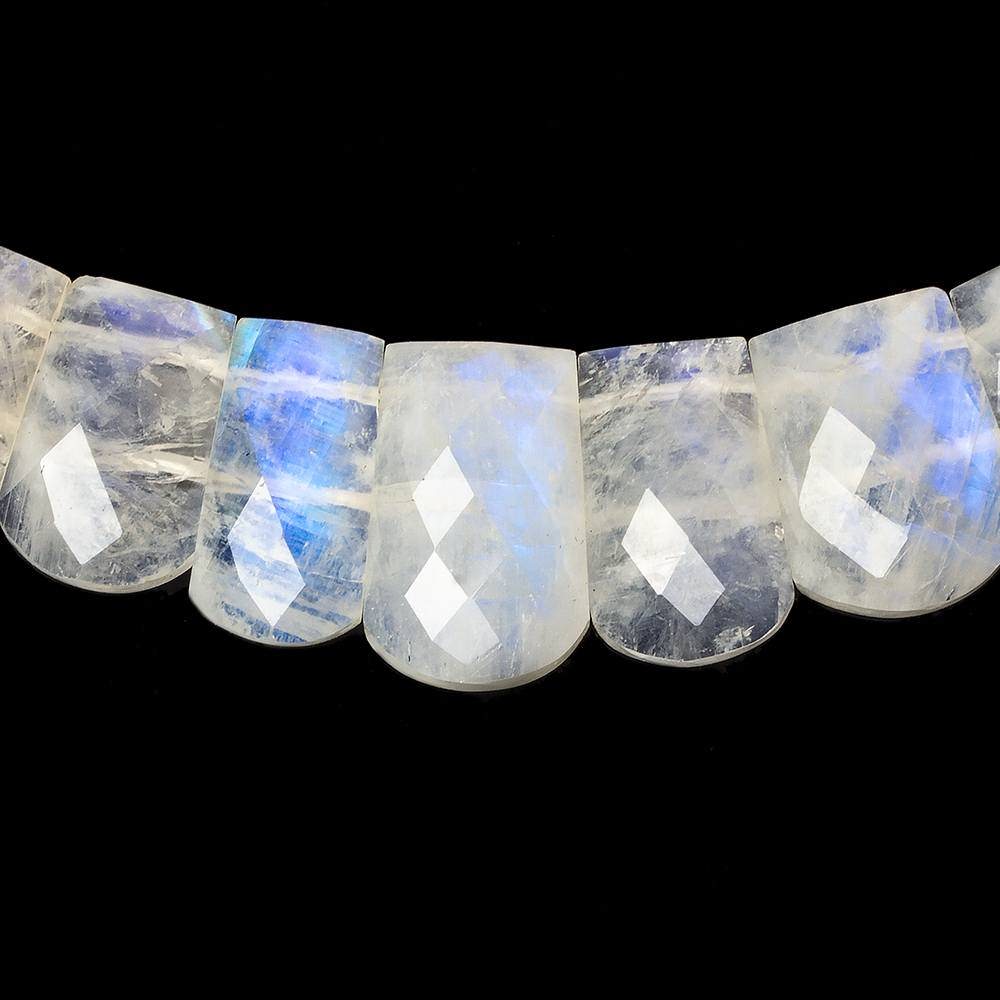 12x9-19x12mm Rainbow Moonstone double drilled faceted fancy shape collar 39 beads