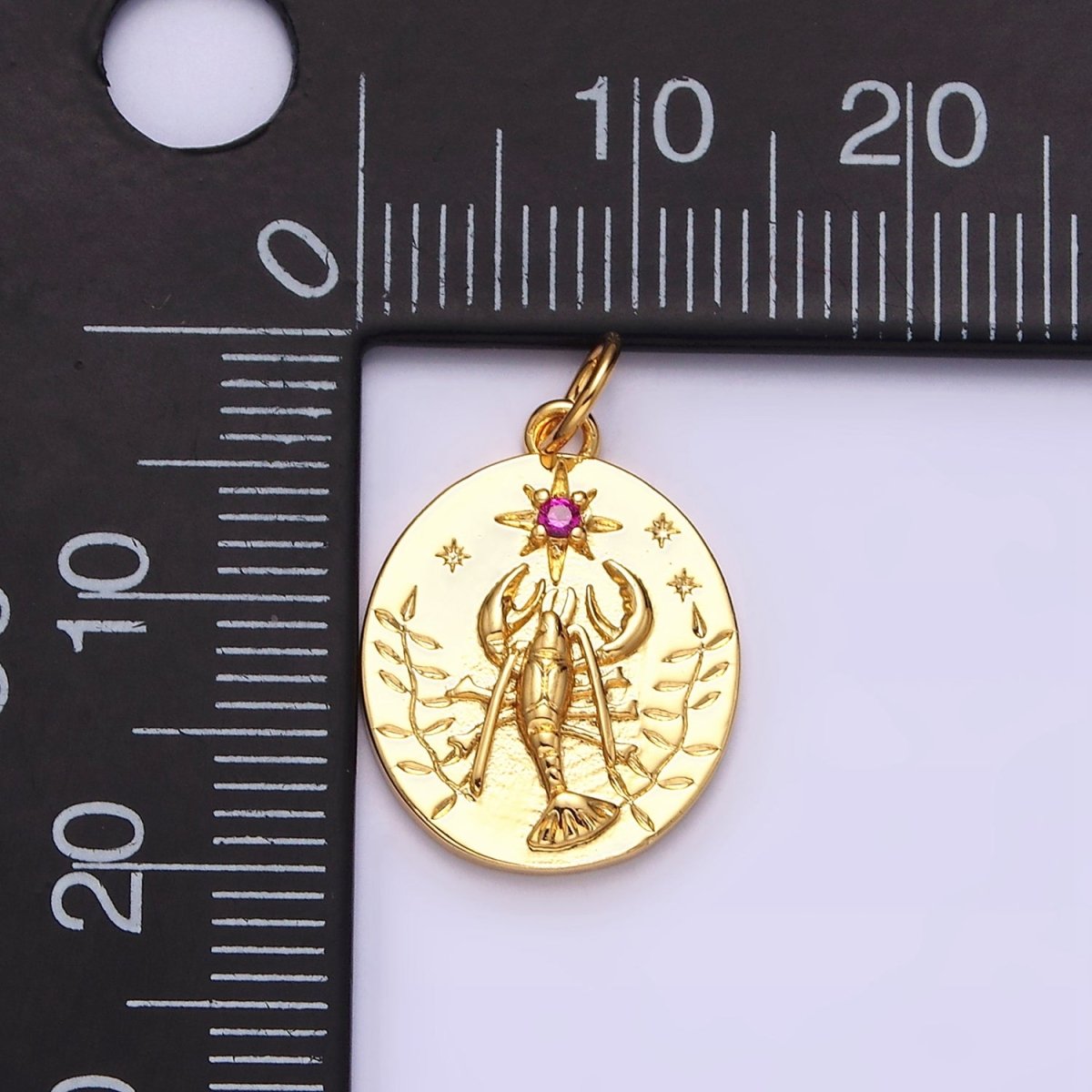 14K Gold Filled Fuchsia CZ North Star Lobster Kelp Ocean Oval Charm | AC1155