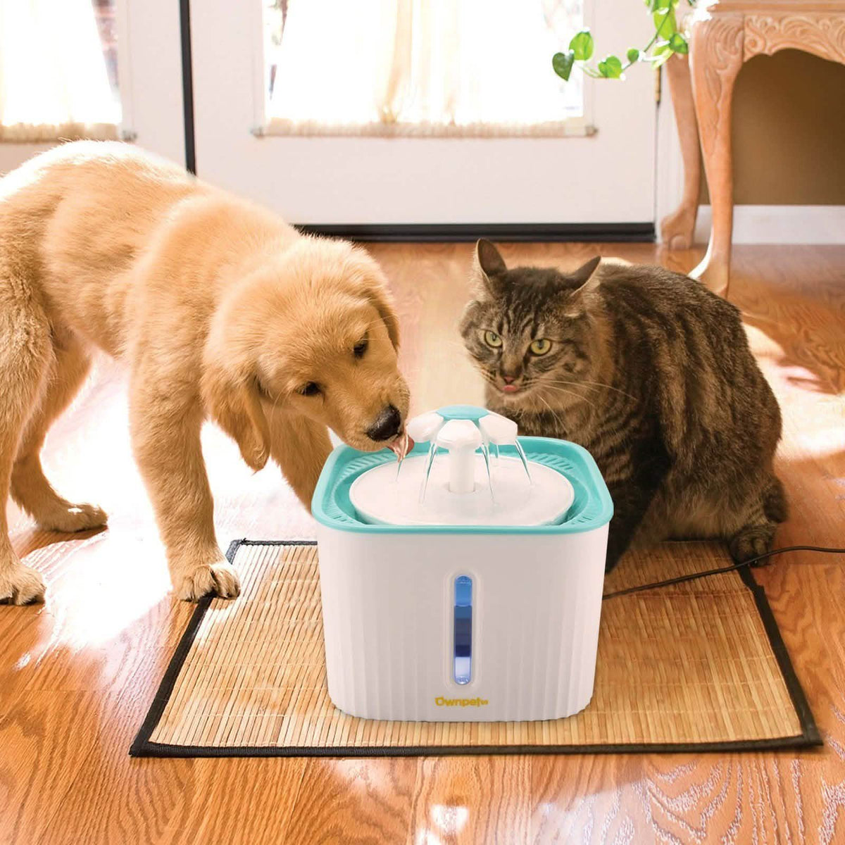 2.5L Super Quiet Cat Water Fountain Bowl Pet Drinking Dispenser