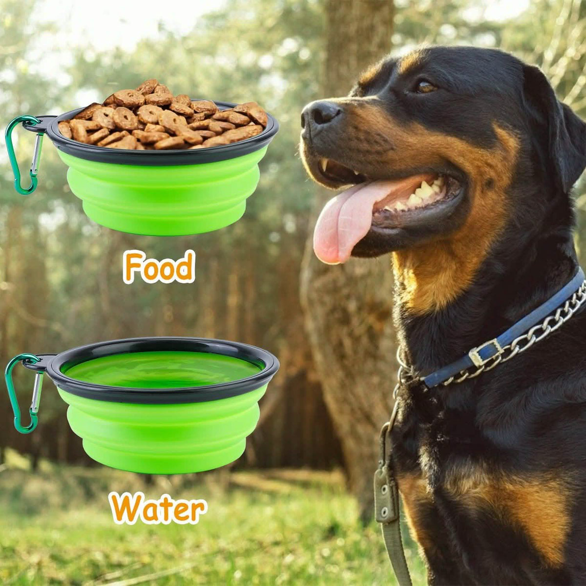 4-Pack: Silicone Collapsible Dog or Cat Food Water Bowl