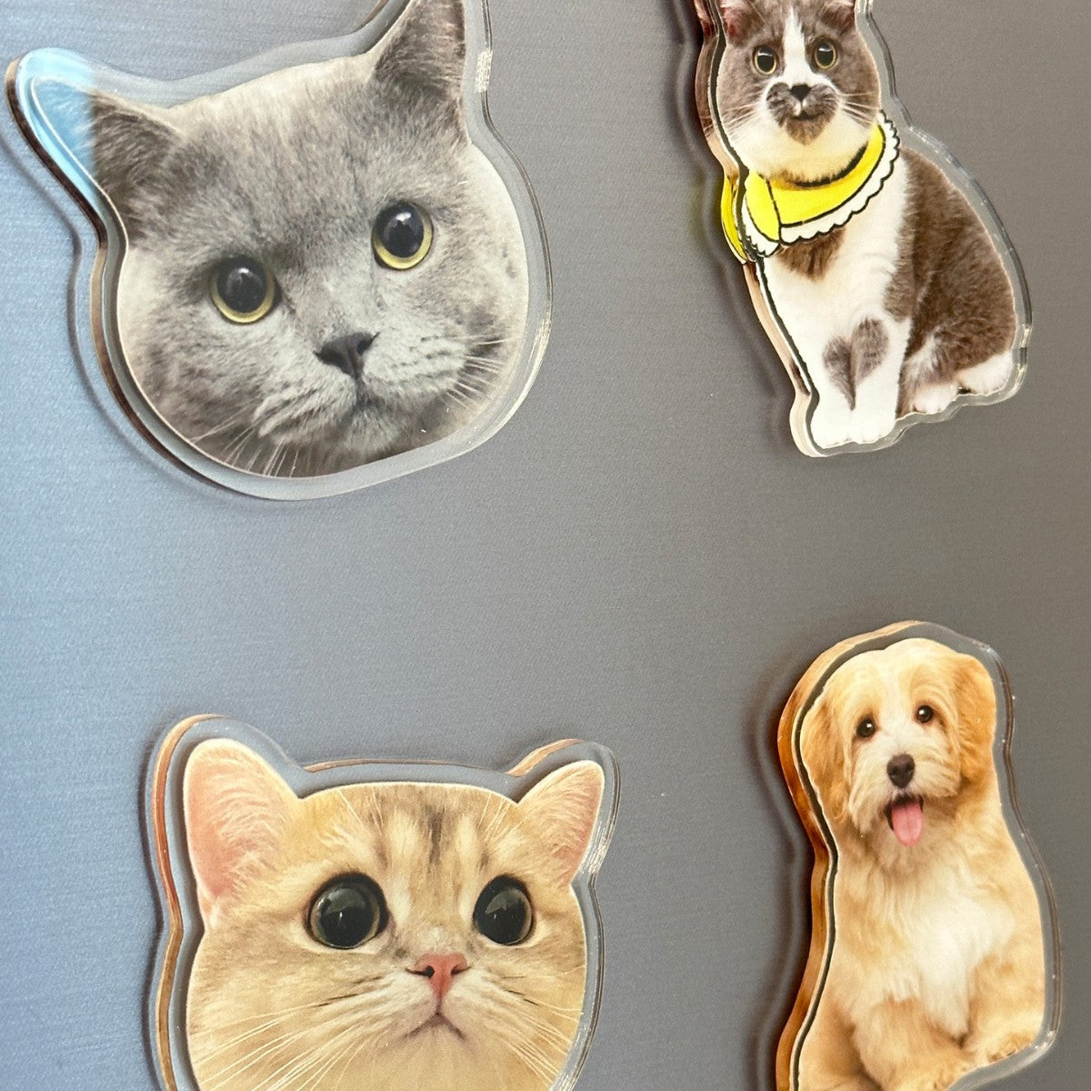 Acrylic Refrigerator Magnets With Magnetic Photos DIY