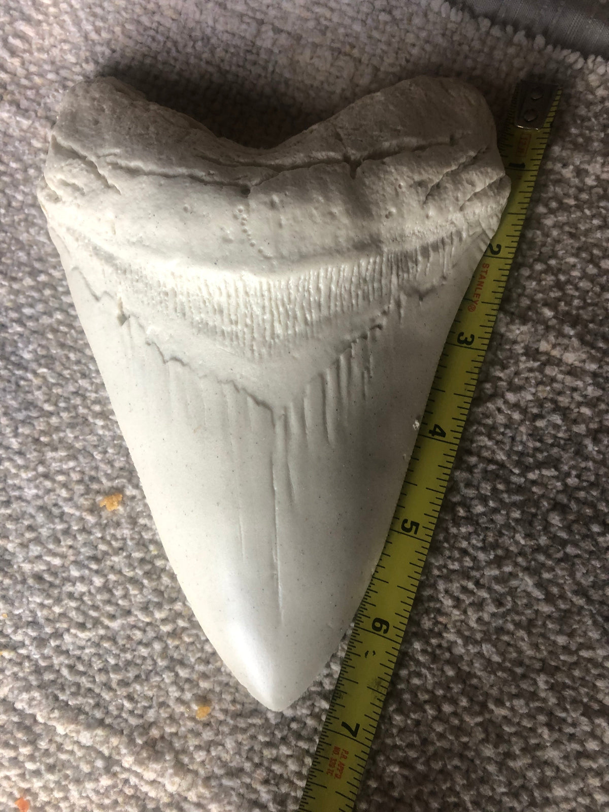 Megalodon Shark Tooth White Huge Replica Large 7 Inches Long