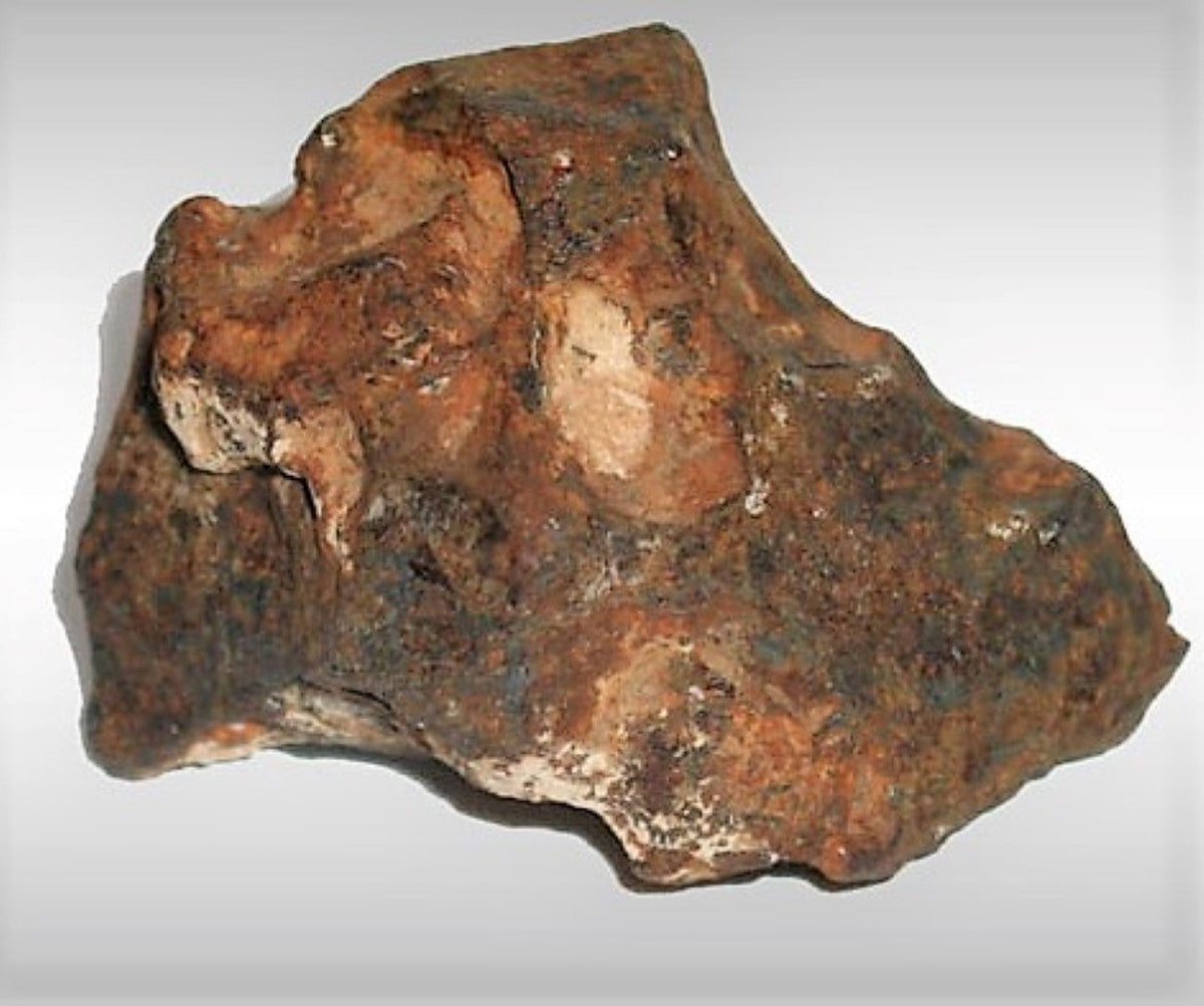 Canyon Diablo Real Iron Meteorite Asteroid Fragment Piece 5g