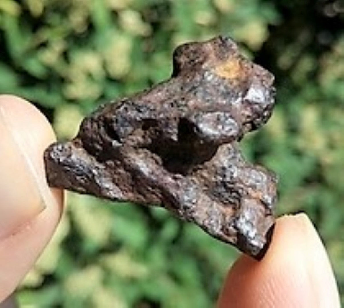 Canyon Diablo Real Iron Meteorite Asteroid Fragment Piece 5g