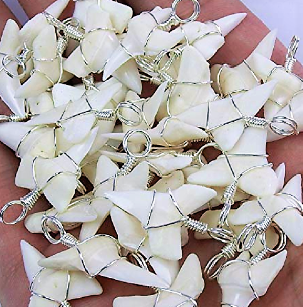 Mako Shark Tooth Necklace 1 Inch Long Genuine & Unrestored