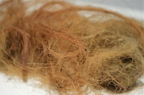 Siberian Mammoth Real Fossilized Hair Sample, 1 Gram Wool Extract