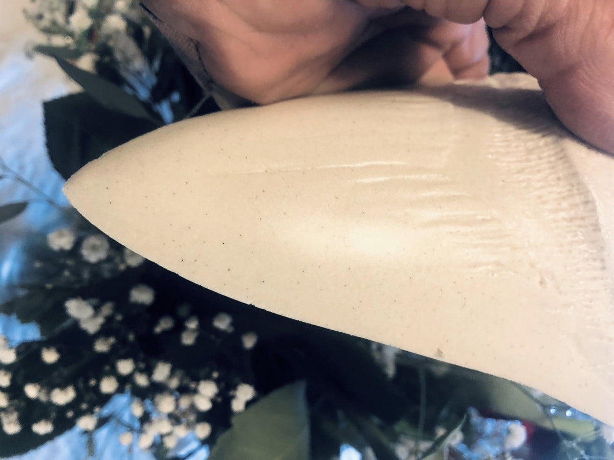 Megalodon Shark Tooth White Huge Replica Large 7 Inches Long