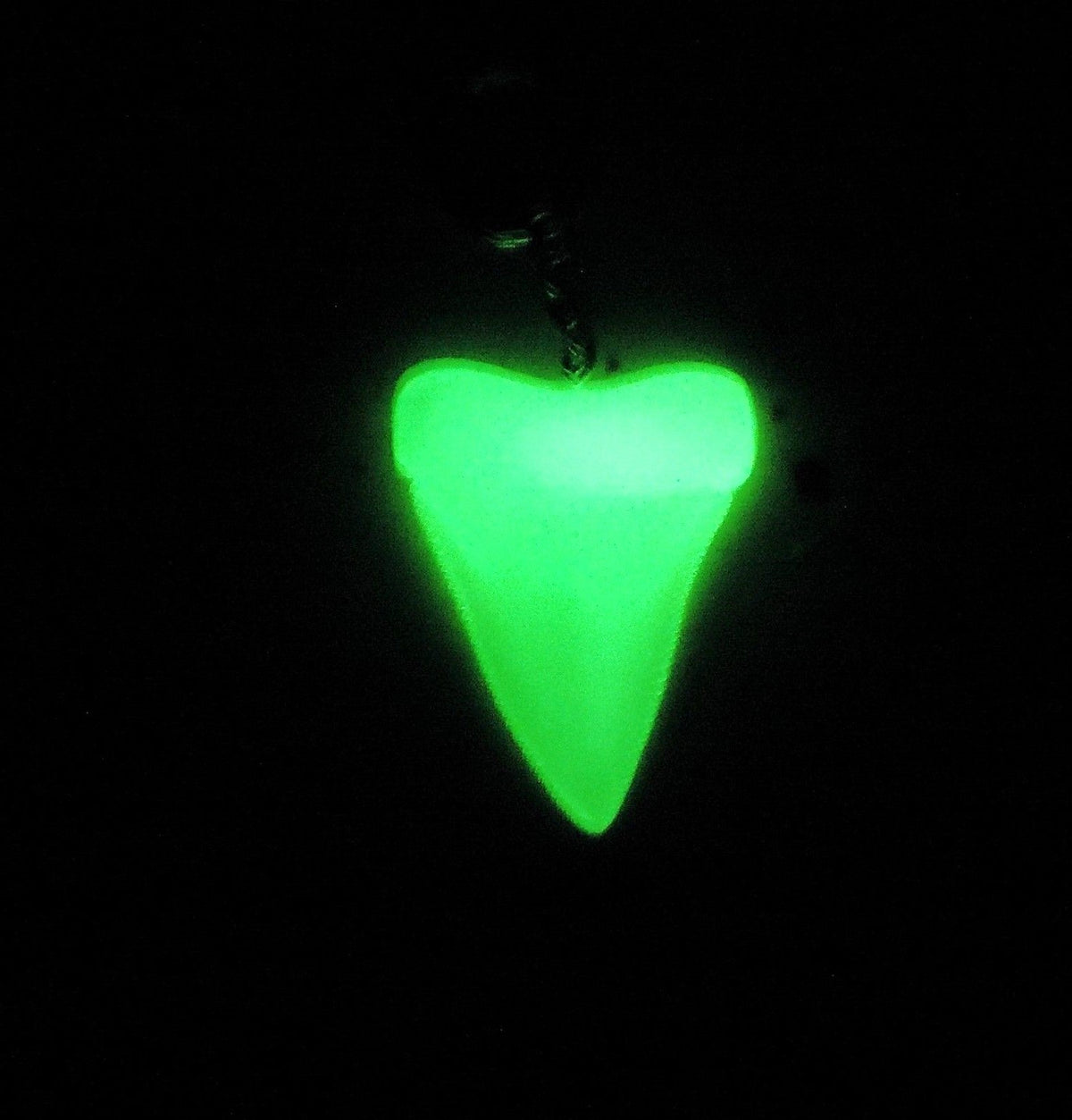 Megalodon Shark Tooth Keychain Glow in the Dark 2 1/2 Inches Long Resin Model