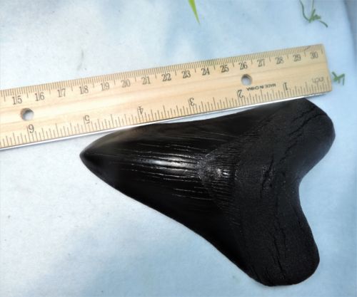 Megalodon Shark Tooth Replica Large 5 Inches Long Black Resin Model