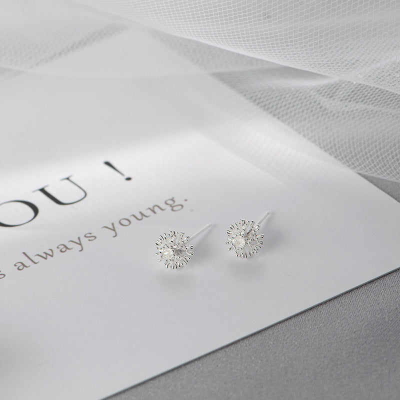 Women's Sterling Sier Small Dandelion Simple Niche Design Commuter Before Stud Earrings