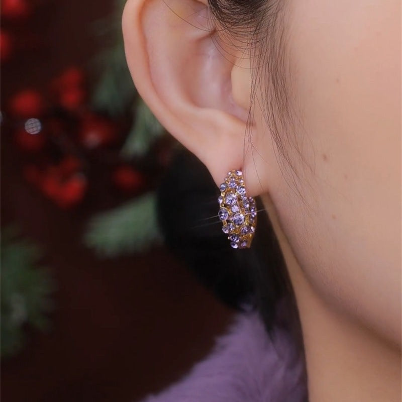 Women's Diamond Small Ear Exquisite Light Luxury Sier Needle Earrings
