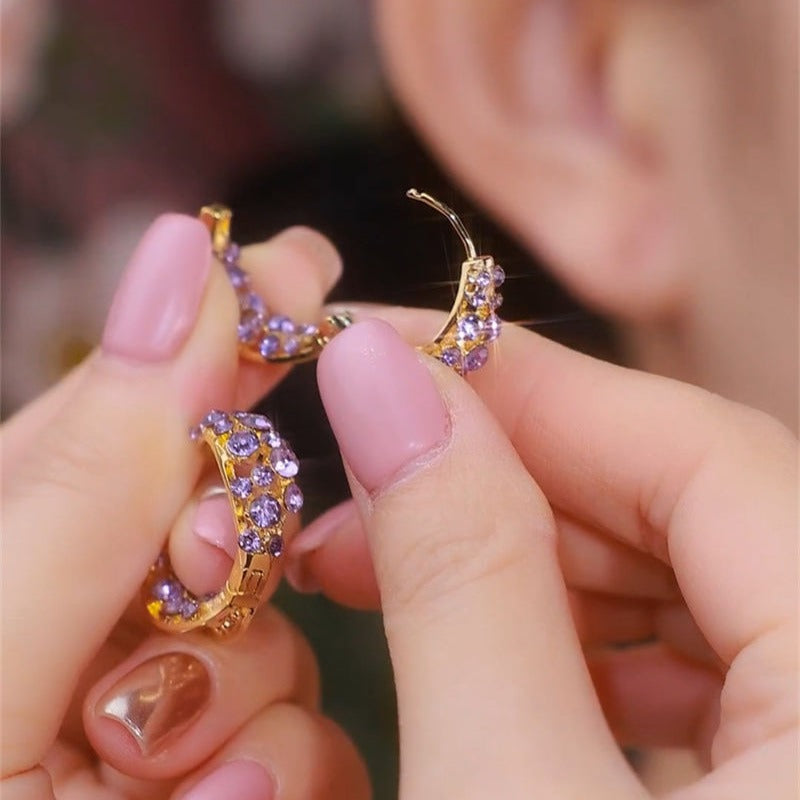 Women's Diamond Small Ear Exquisite Light Luxury Sier Needle Earrings
