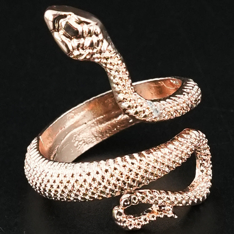 Cold Personality Dark Fashion Trendy Paint Rings