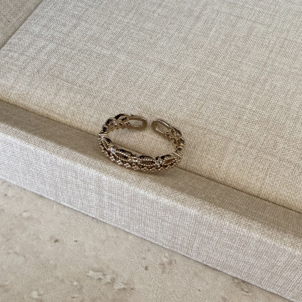 Special Interest Light Luxury Hollow Zircon Index Finger Female French Rings