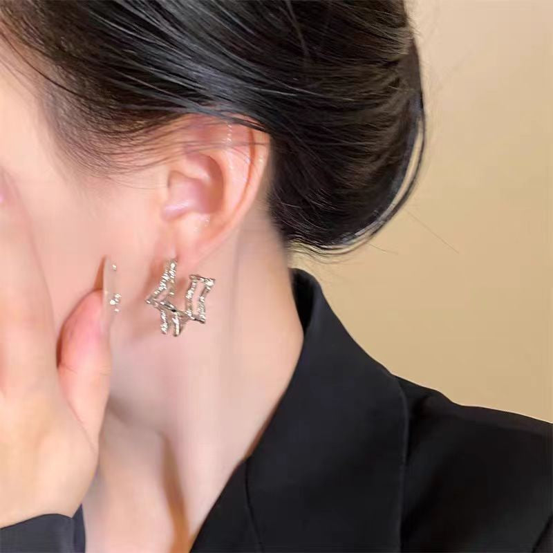 Women's Round High-grade Light Luxury Minority Design Tassel Earrings