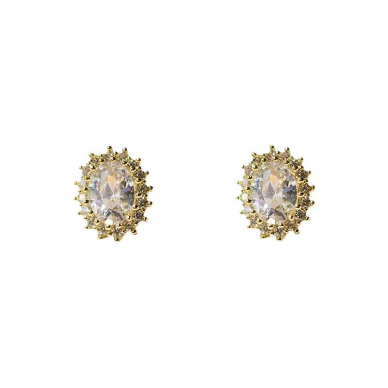 Women's Gentle Temperament Niche Design Sterling Sier High Earrings