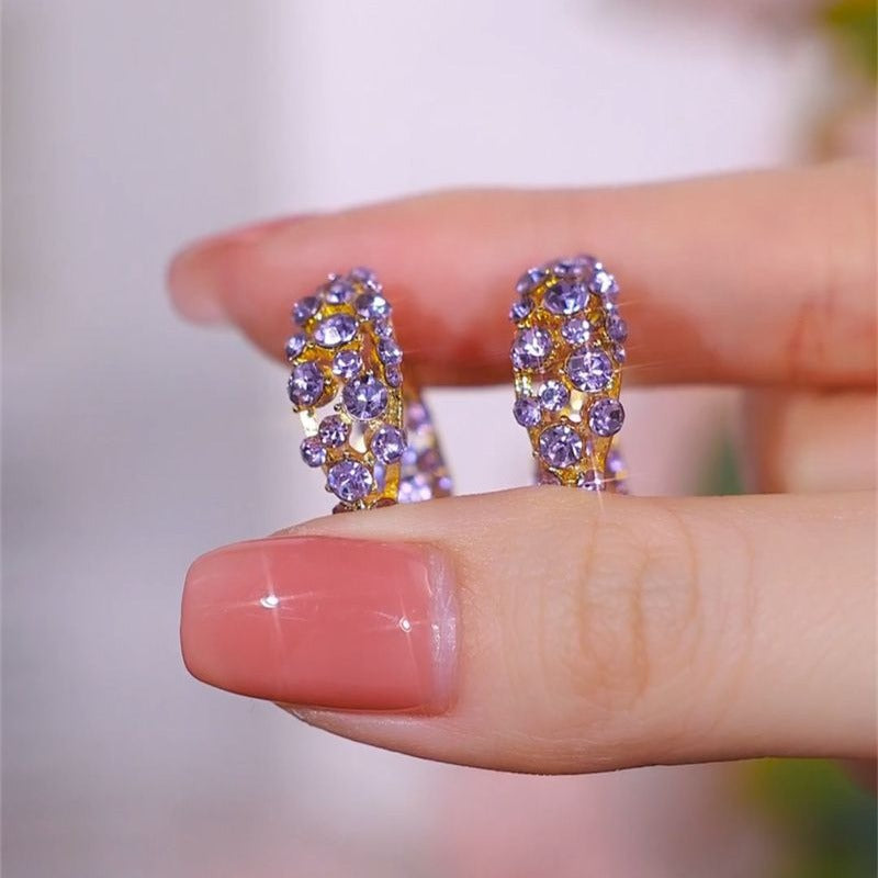 Women's Diamond Small Ear Exquisite Light Luxury Sier Needle Earrings