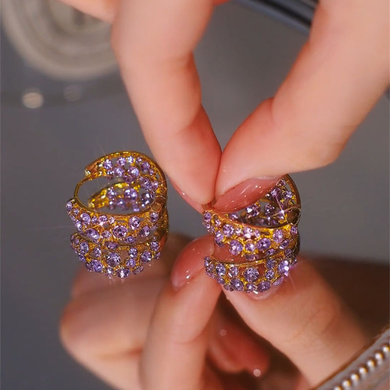 Women's Diamond Small Ear Exquisite Light Luxury Sier Needle Earrings