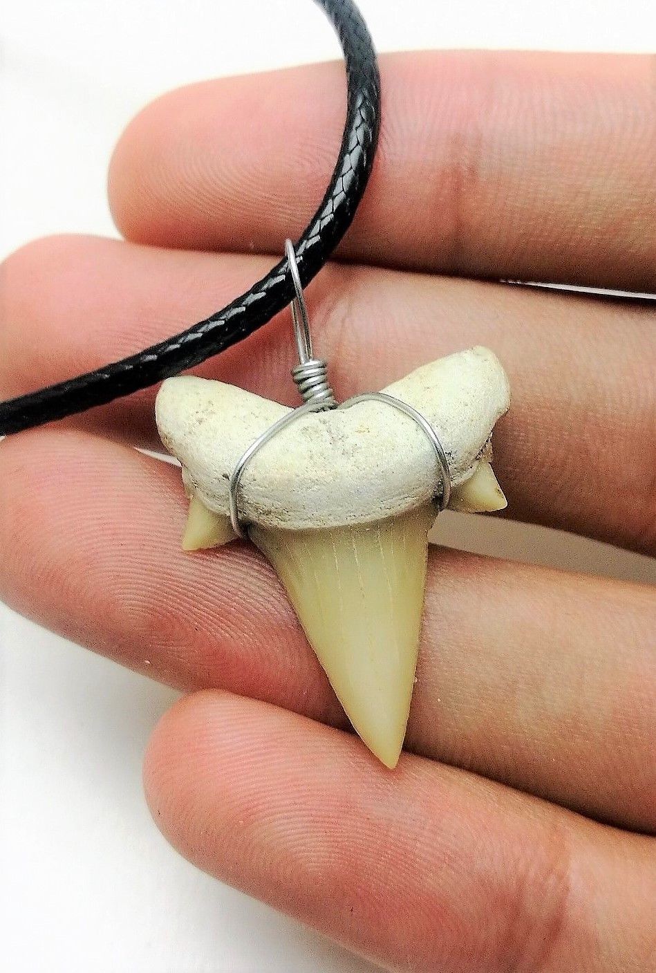 Otodus Extinct Giant Shark Tooth Necklace 1 Inch Long Genuine
