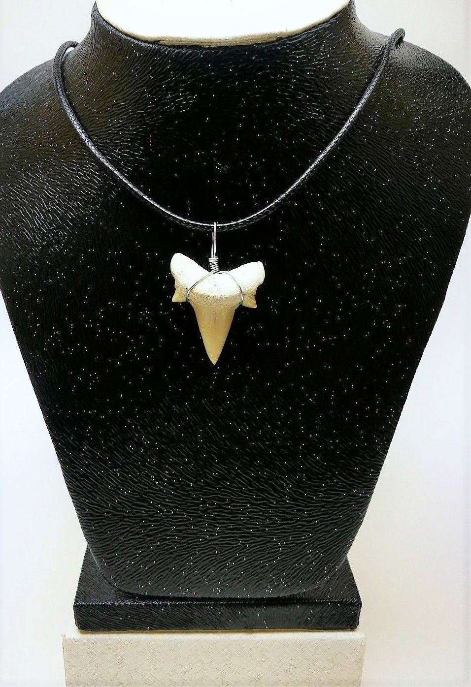 Otodus Extinct Giant Shark Tooth Necklace 1 Inch Long Genuine