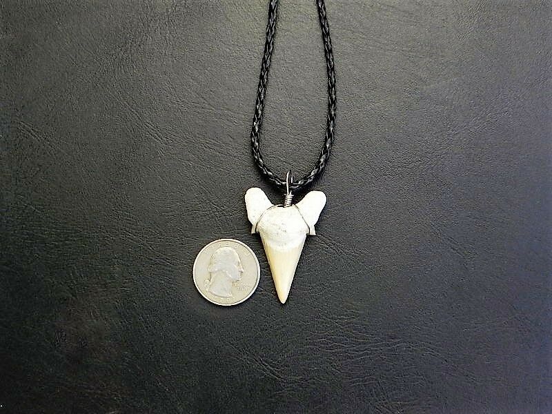 Otodus Extinct Giant Shark Tooth Necklace 1 Inch Long Genuine