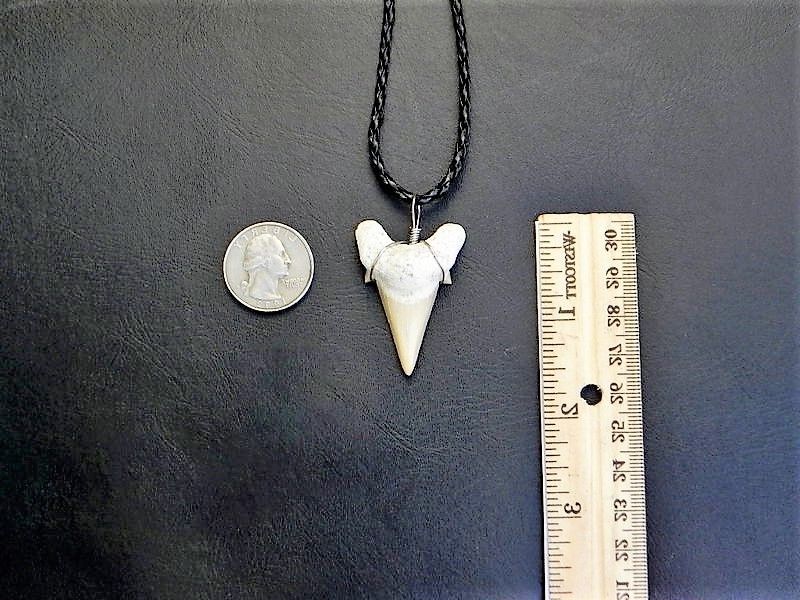 Otodus Extinct Giant Shark Tooth Necklace 1 Inch Long Genuine