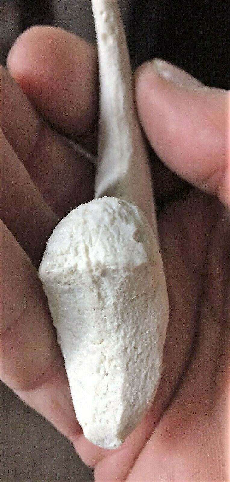 Deinonychus Raptor Claw Replica 4 Inches Long White Resin Model