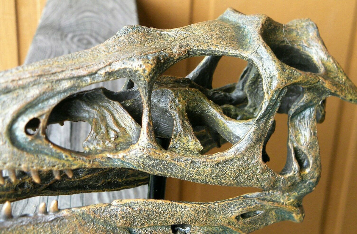 Raptor Skull Resin Model Life Size 1/1 Scale Sculpture