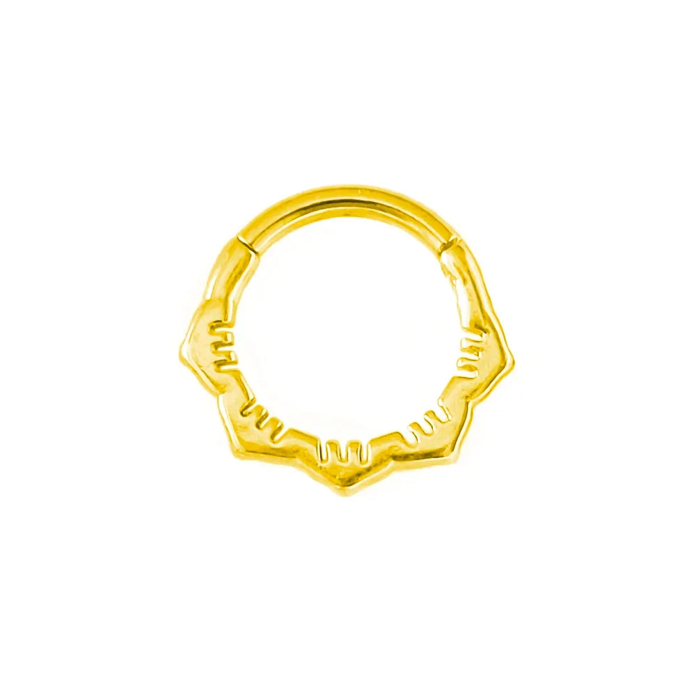 Flowers Nose Ring Septum 100% 316L Surgical Steel Zircon Clicker Daith Piercing Ear Cartilage Helix Hoop Flowers Water Drops