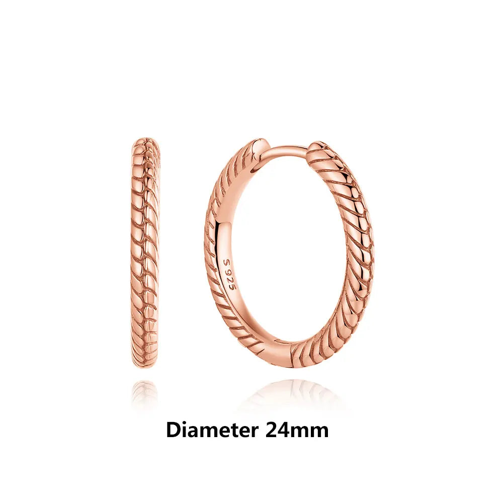 Original 925 Sterling Silver Earrings 2026 Stud Hoop Crystal Earings For Women Rose Gold Crown Heart Infinity Bee Earing Jewelry