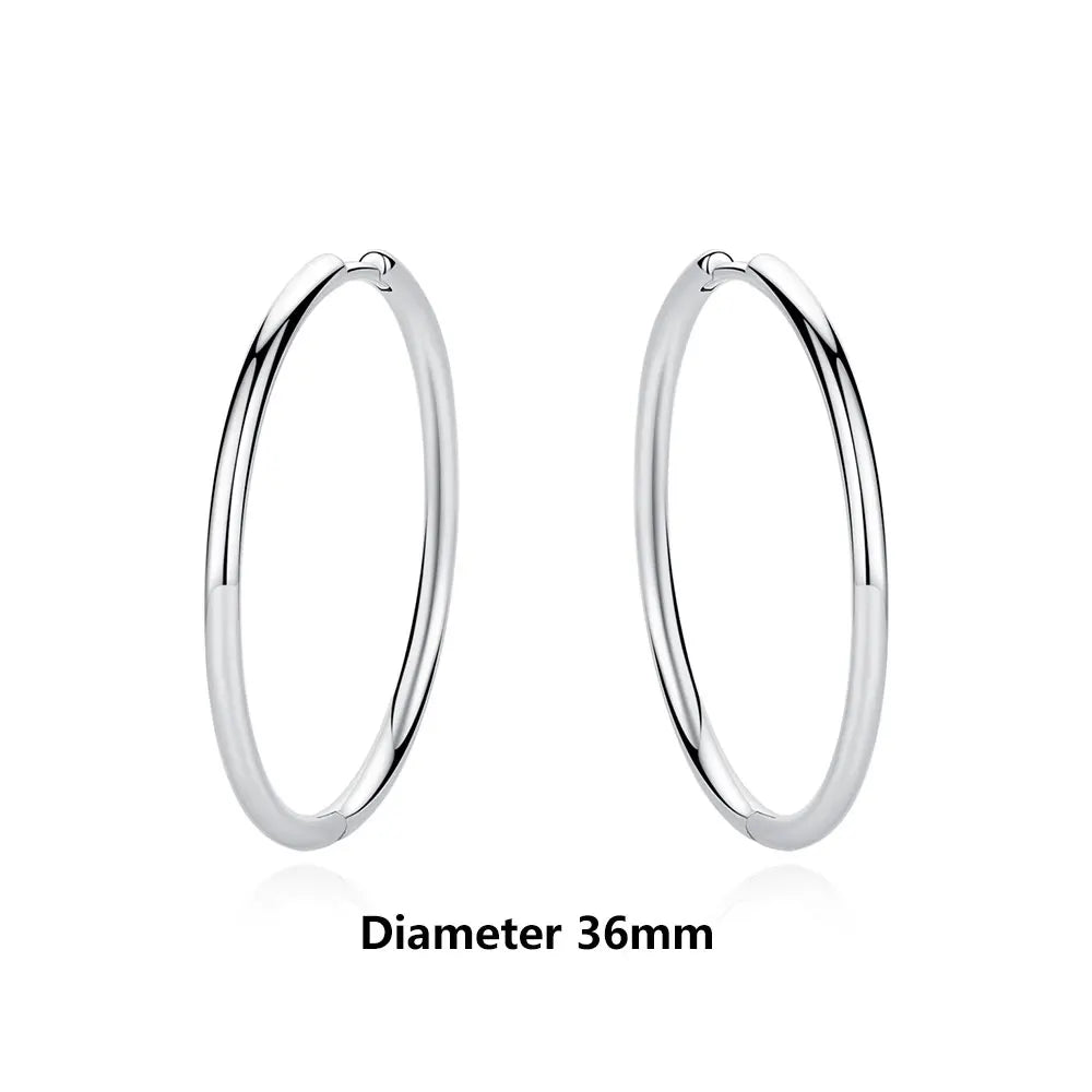 Original 925 Sterling Silver Earrings 2026 Stud Hoop Crystal Earings For Women Rose Gold Crown Heart Infinity Bee Earing Jewelry