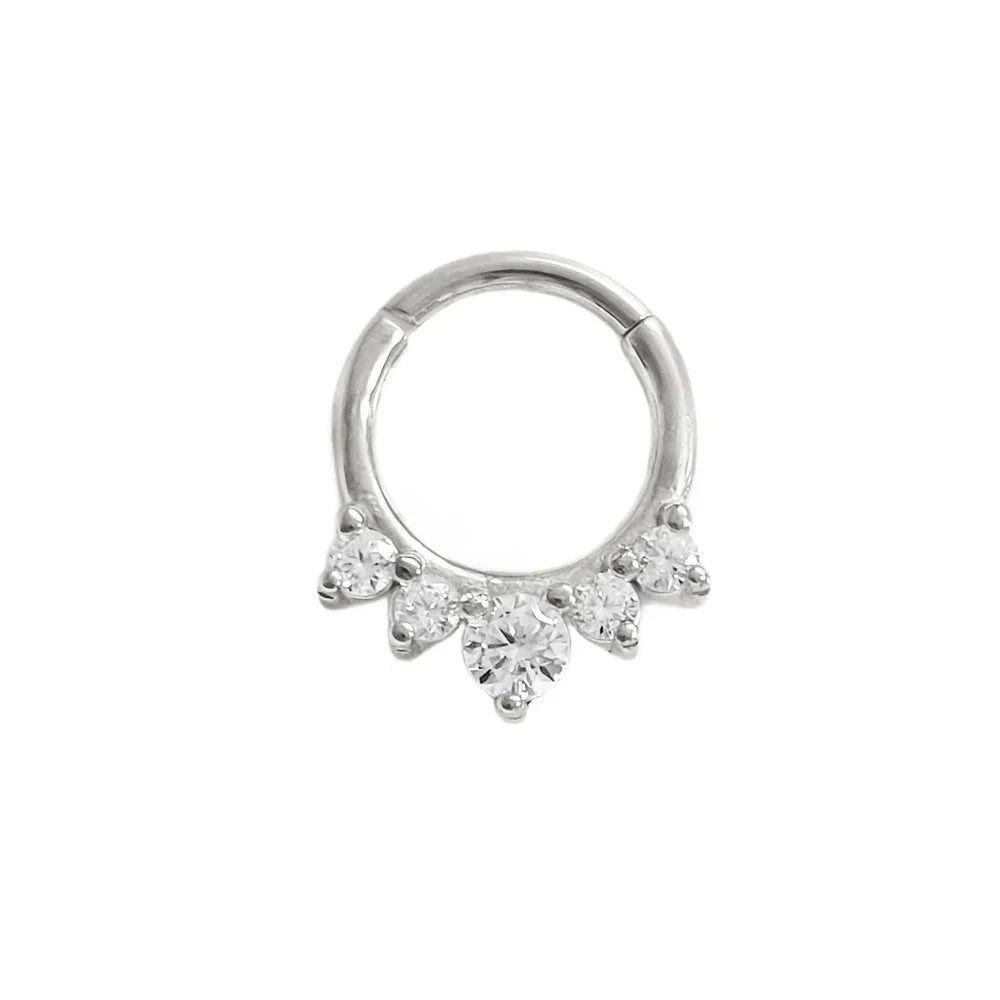 316L Surgical Steel Segment Nose Ring Zircon Septum Clicker Ear Cartilage Helix Daith Hoop Body  Piercing Jewelry