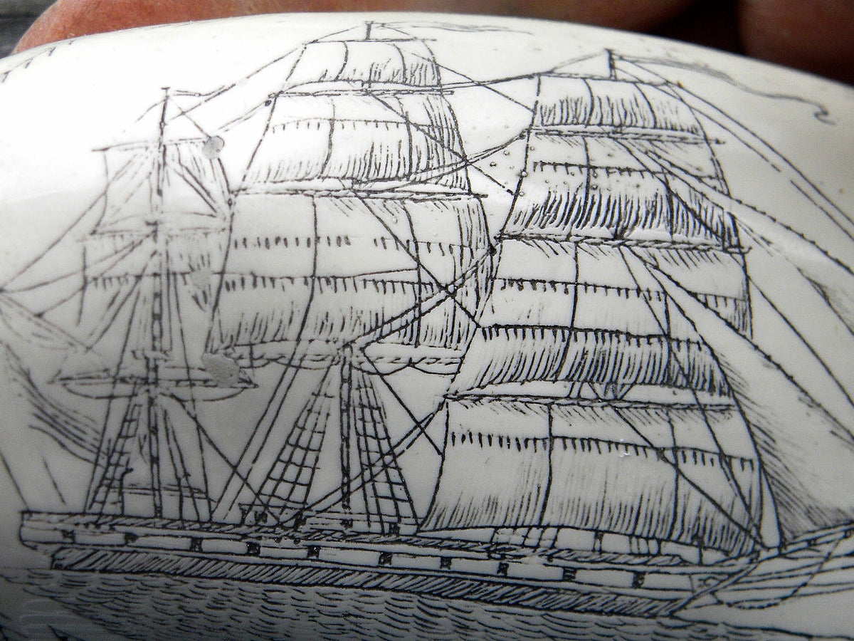 Sperm Whale Tooth Replica Scrimshaw 7 Inches Long The Comet Resin Model