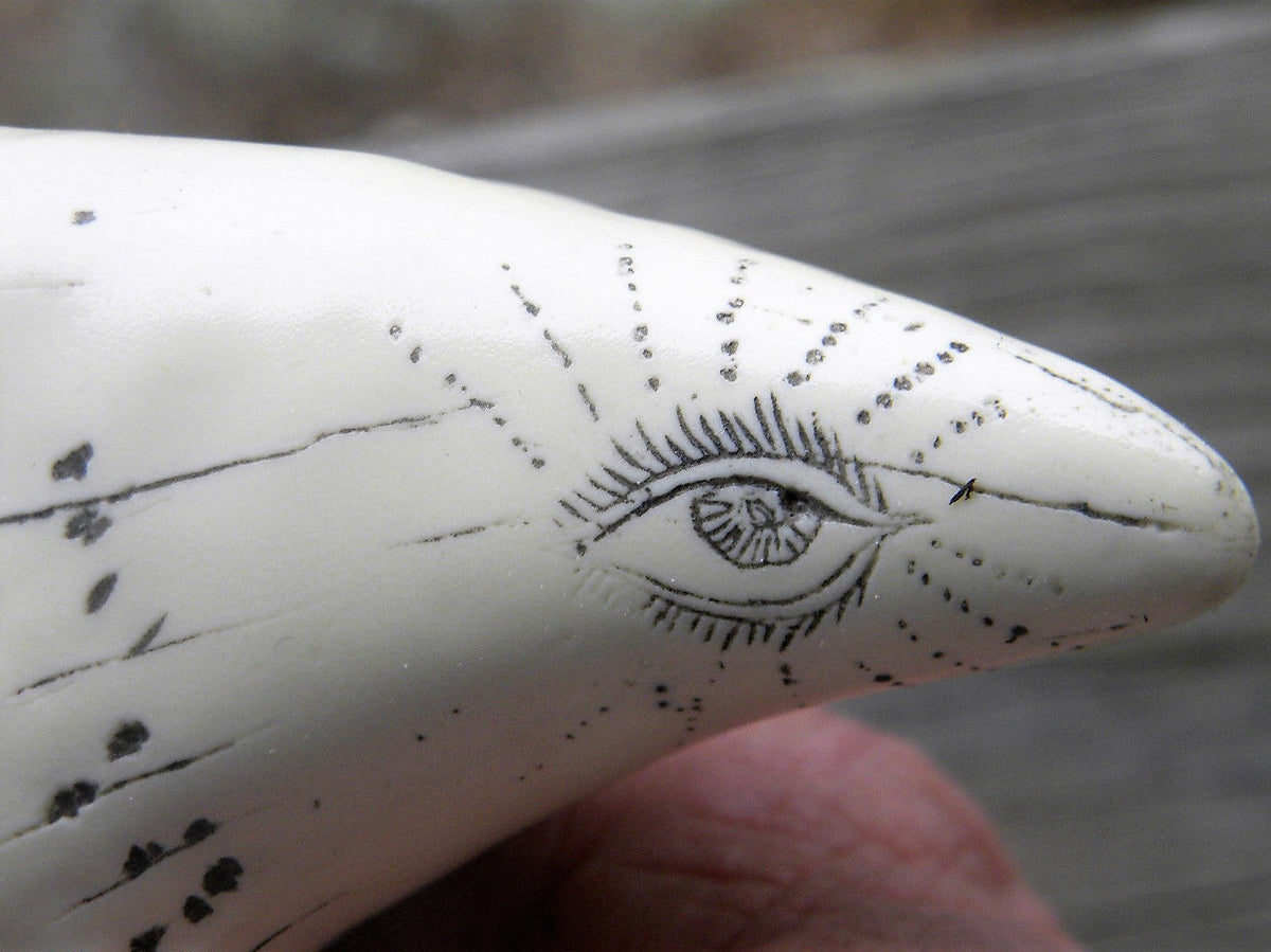 Sperm Whale Tooth Replica Scrimshaw 7 Inches Long The Comet Resin Model