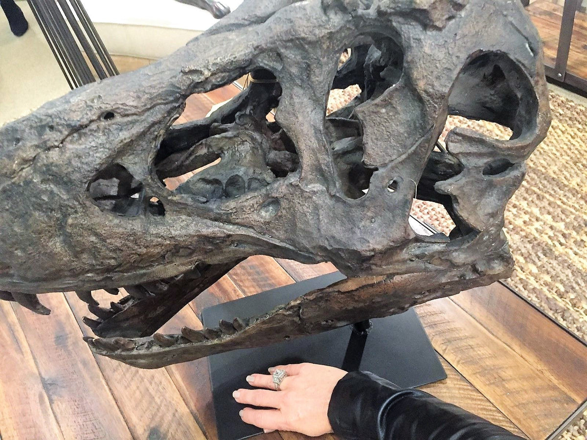 Tyrannosaurus Rex Skull Replica Large Head Resin Model T-Rex Sculpture