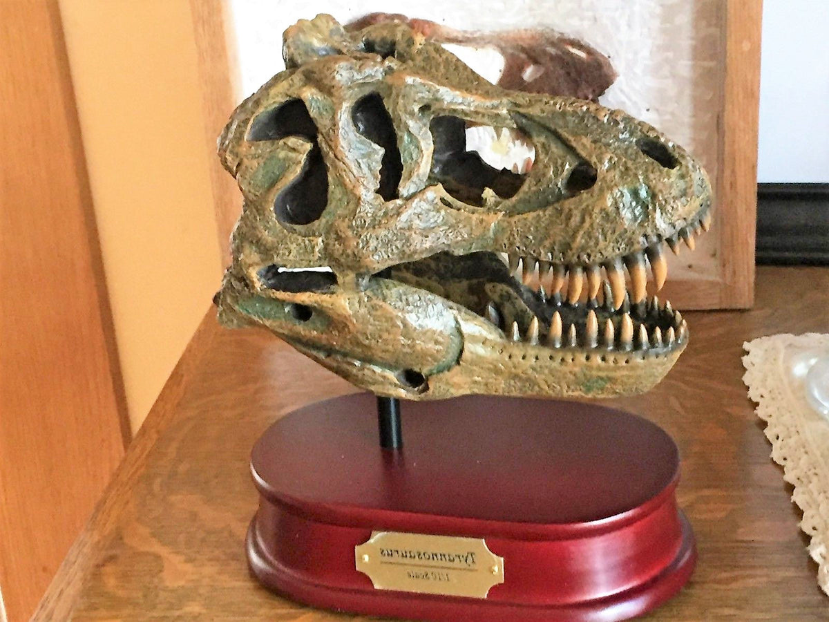 Tyrannosaurus Rex Skull Replica 1/10th Scale Resin Model T-Rex Sculpture