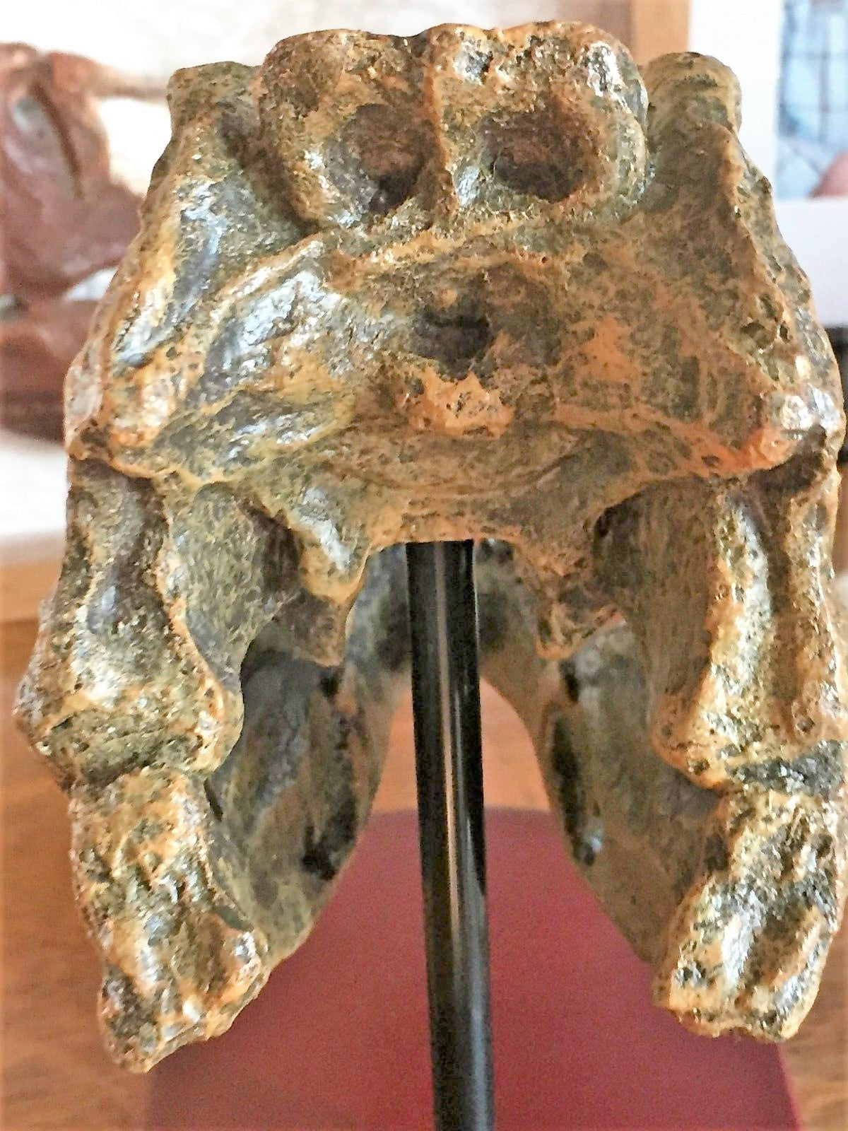 Tyrannosaurus Rex Skull Replica 1/10th Scale Resin Model T-Rex Sculpture