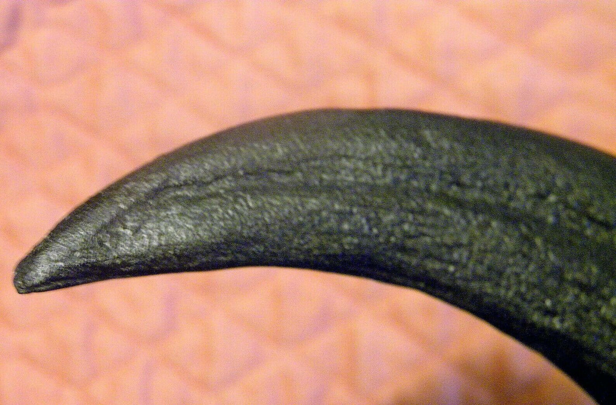 Utahraptor Claw Replica 9 Inches Long Black Resin Model