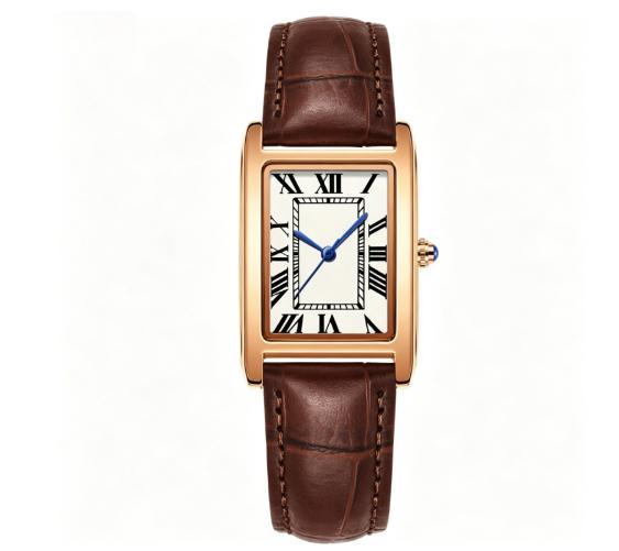 New Square Waterproof Quartz Simple Three-pin Roman Literal Women's Watch