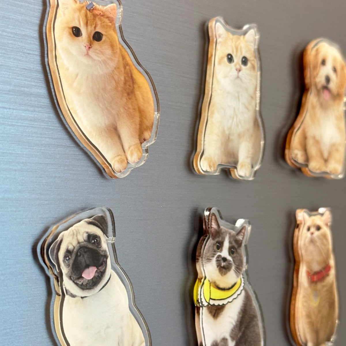 Acrylic Refrigerator Magnets With Magnetic Photos DIY