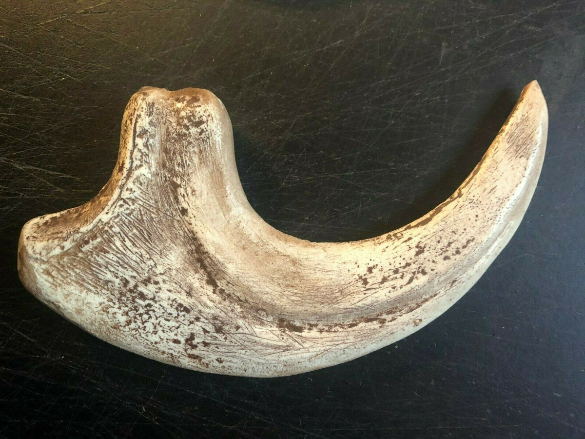 Utahraptor Claw Replica 9 Inches Long Beige Resin Model