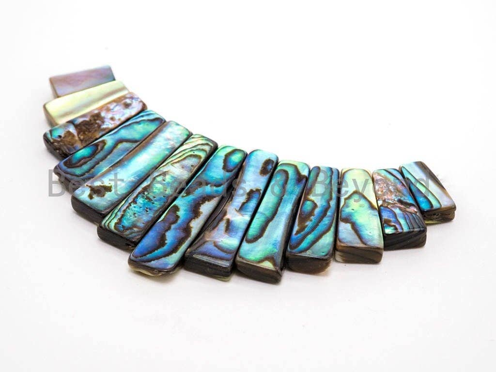 Natural Abalone Shell Graduated Bar Shaped Beads, Analone Fo