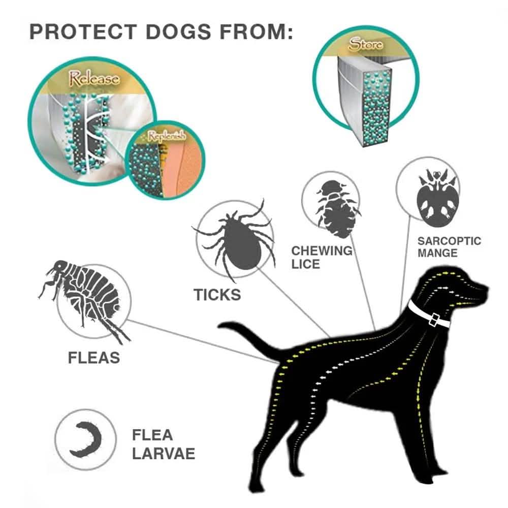 Flea Collar Dogs 8-month Flea and Tick Prevention for Dogs 3 Months of Age and Older