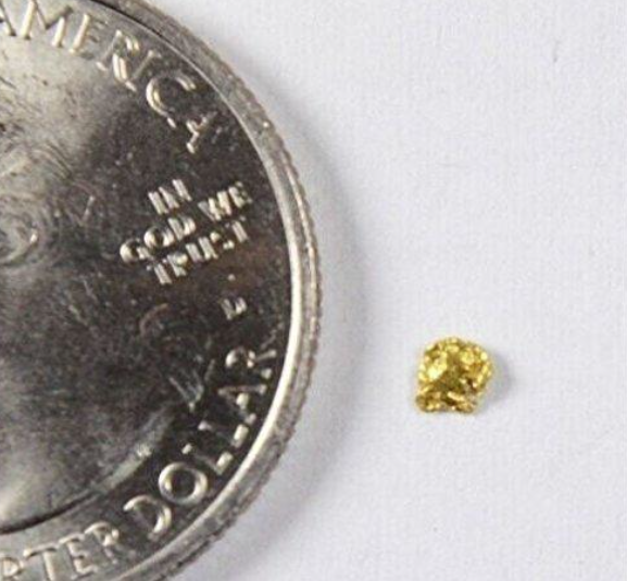 Alaskan Gold Nugget Genuine Yukon Small 22k .05g Fine
