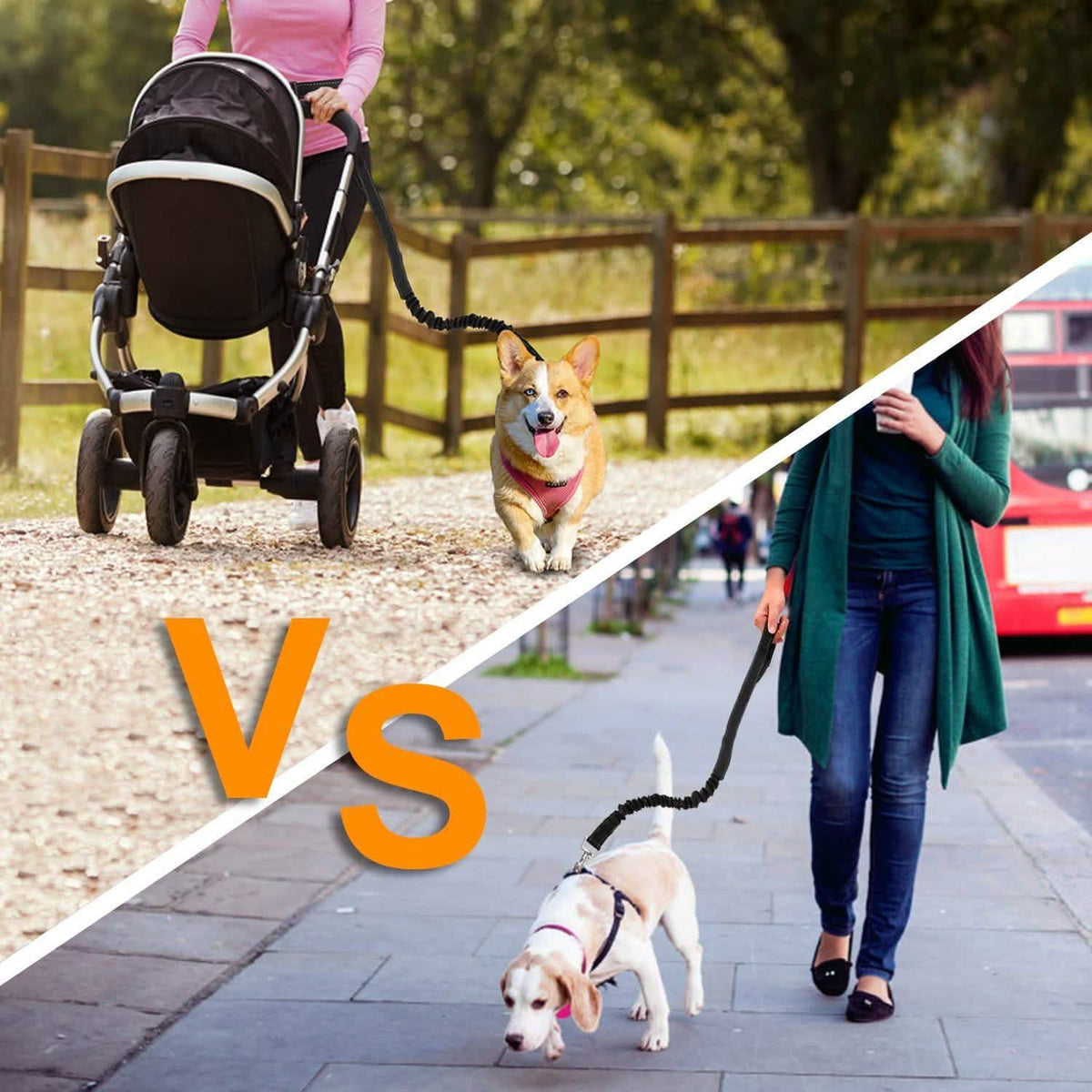 Hands Free Dogs Leash Waist Belt