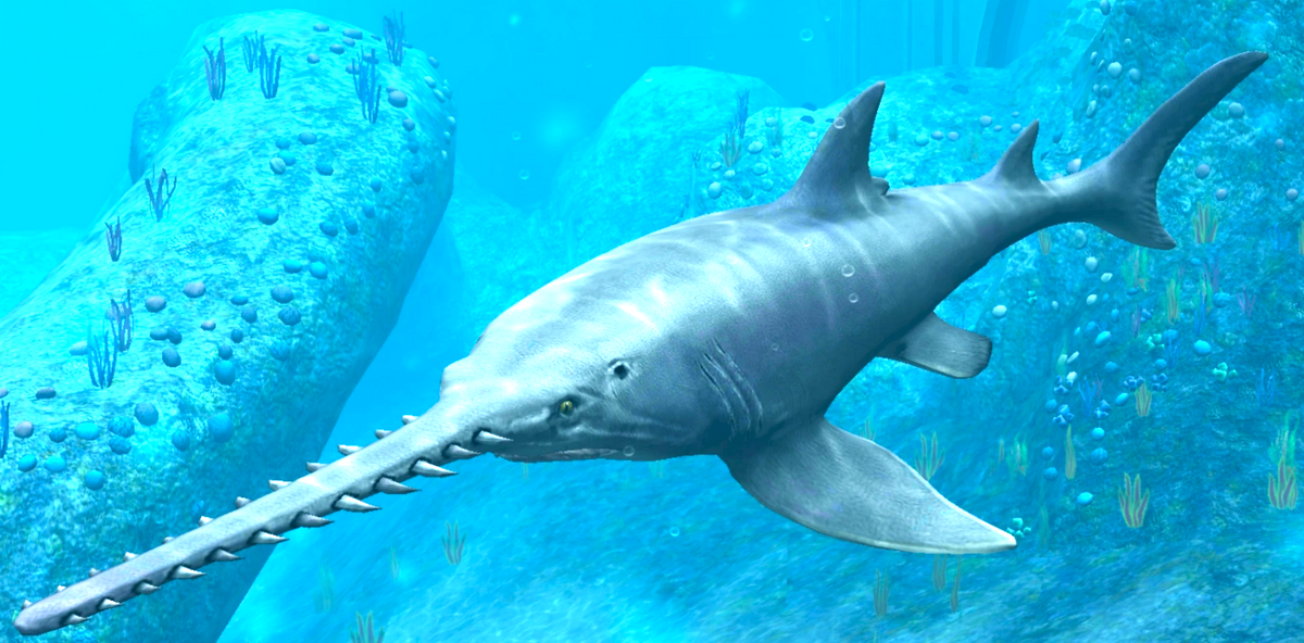Onchopristis Extinct Sawfish Tooth Cretaceous Dinosaur Fossil
