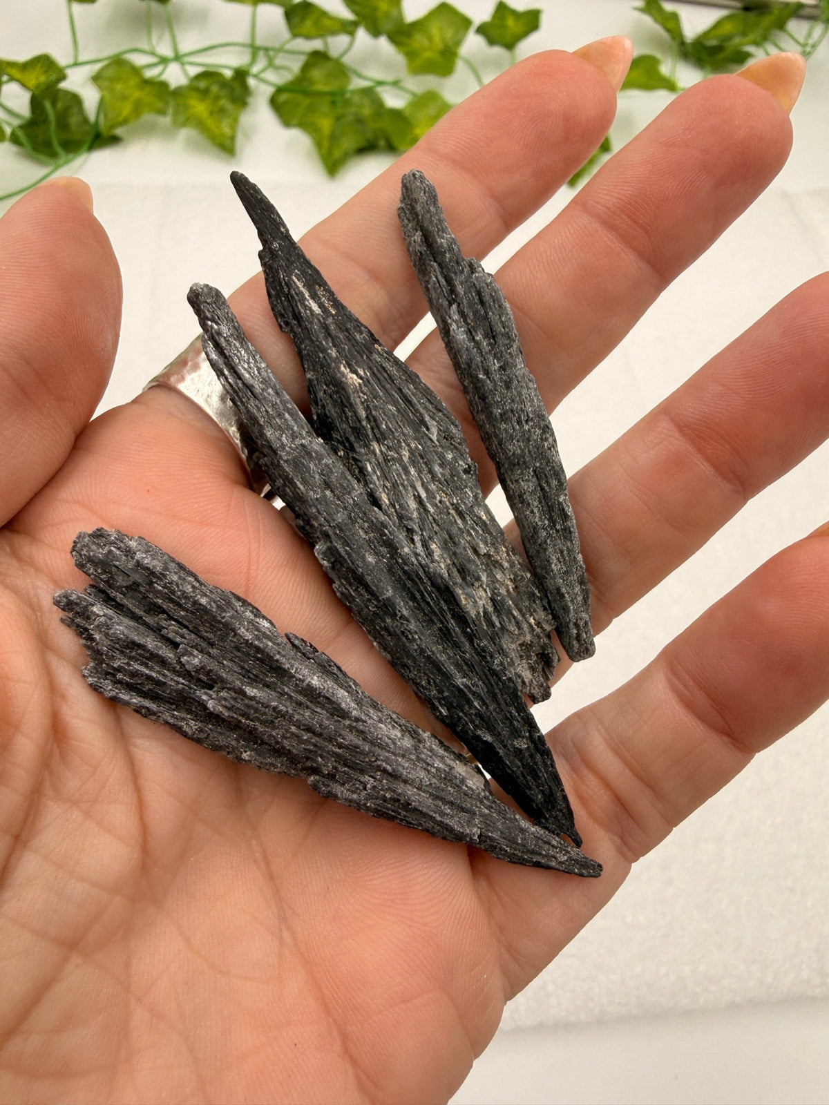 Black Kyanite Rough